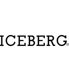 ICEBERG