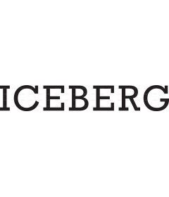 Iceberg_logo