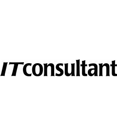 IT CONSULTANT