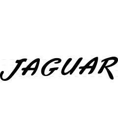 Jaguar 2