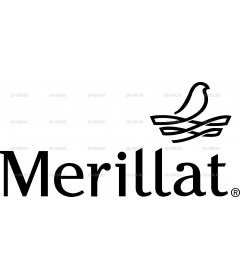 merillat2