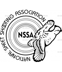 NSSA 2