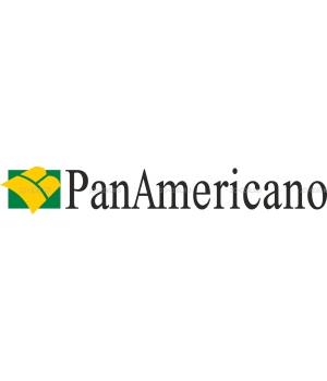 panamericano