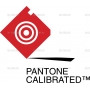Pantone_Calibrated_logo