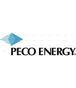 PECO ENERGY 1