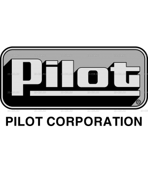 Pilot 3