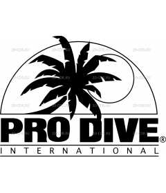 PRO DIVE INTL