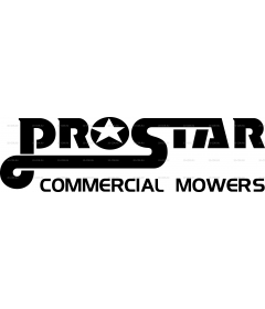 Pro star