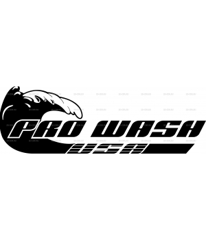 pro wash