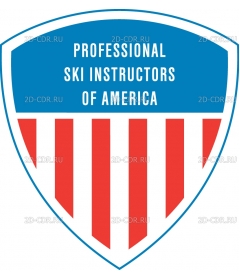 PROFESSIONAL SKI INSTRUCTOR