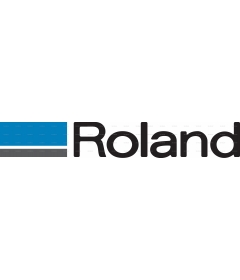 ROLAND DGS 1