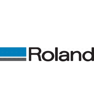 ROLAND DGS 1