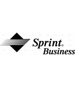 SPRINT BUSINESS