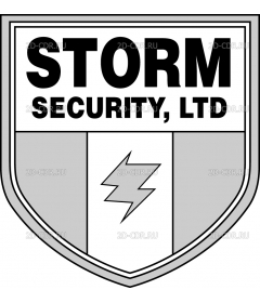 Storm Security