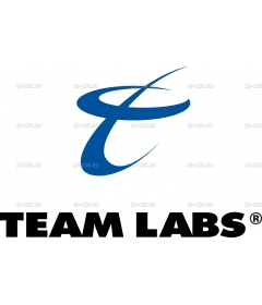 TEAM LABS 1