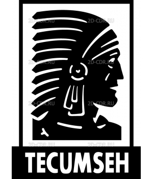 Tecumseh 2