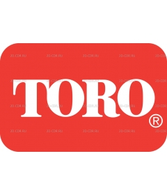 TORO 2