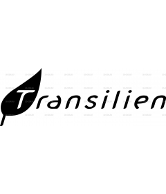 TRANSILIEN