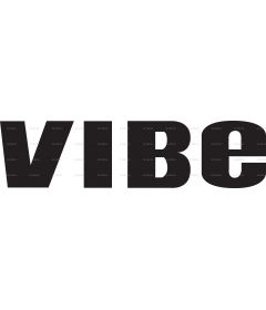 VIBE MAGAZINE