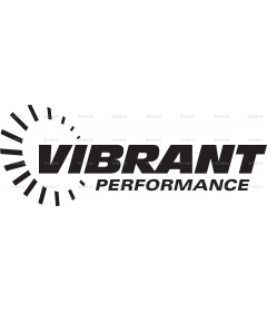 VIBRANTPERFORMANCE2