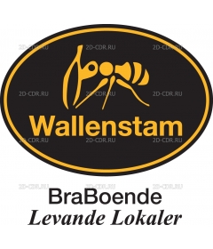 WALLENSTAM