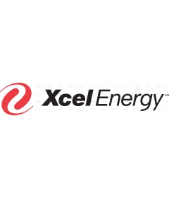 XCEL ENERGY 1