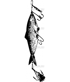 Охота и рыбалка (47)