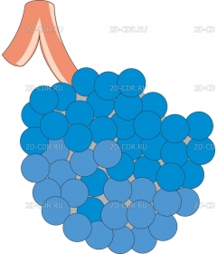 ALVEOLI