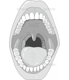 ORALCAV1