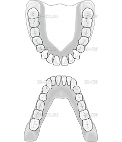 TETHVIVO