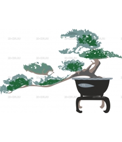 BONSAI