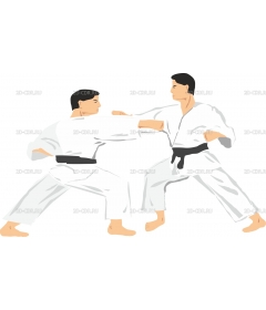 KARATE3