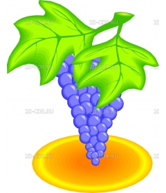 GRAPES