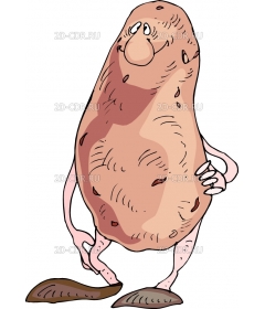 POTATO