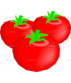 TOMATO