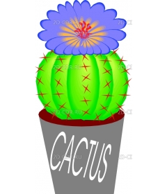 CACTUS2