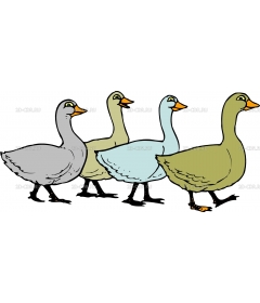 GEESE