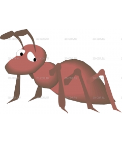 ANT