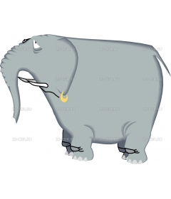 ELEPHNT