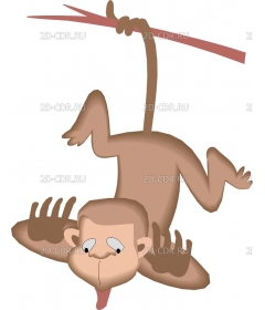 MONKEYUP