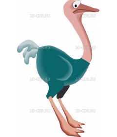 OSTRICH