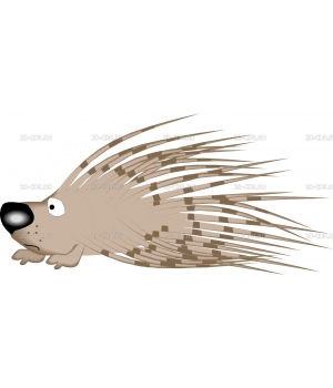 PORCUPIN