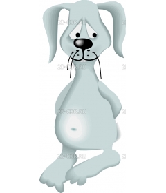 RABBIT6