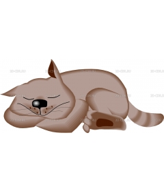 SLEEPCAT