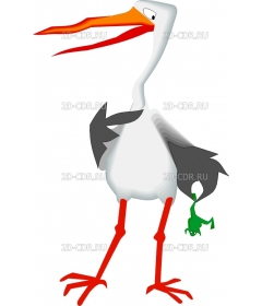 STORK