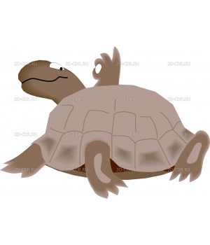 TURTLE