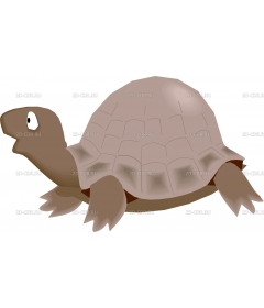 TURTLE1