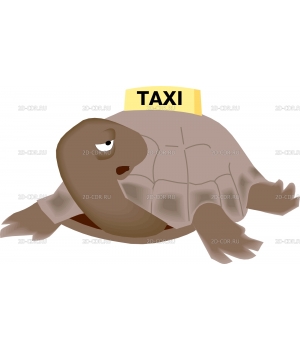 TURTTAXI