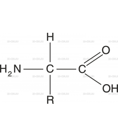 AMICOAC