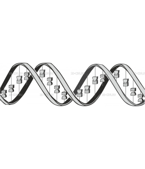 DNA_GENE